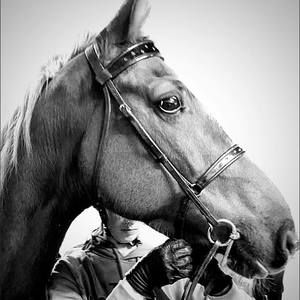 Meet your Posher, Stacy